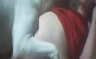 Mulheres transando com animais